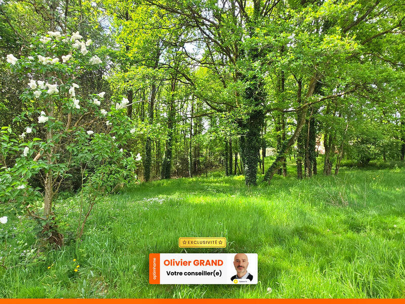 Terrain à SAINT-JUNIEN