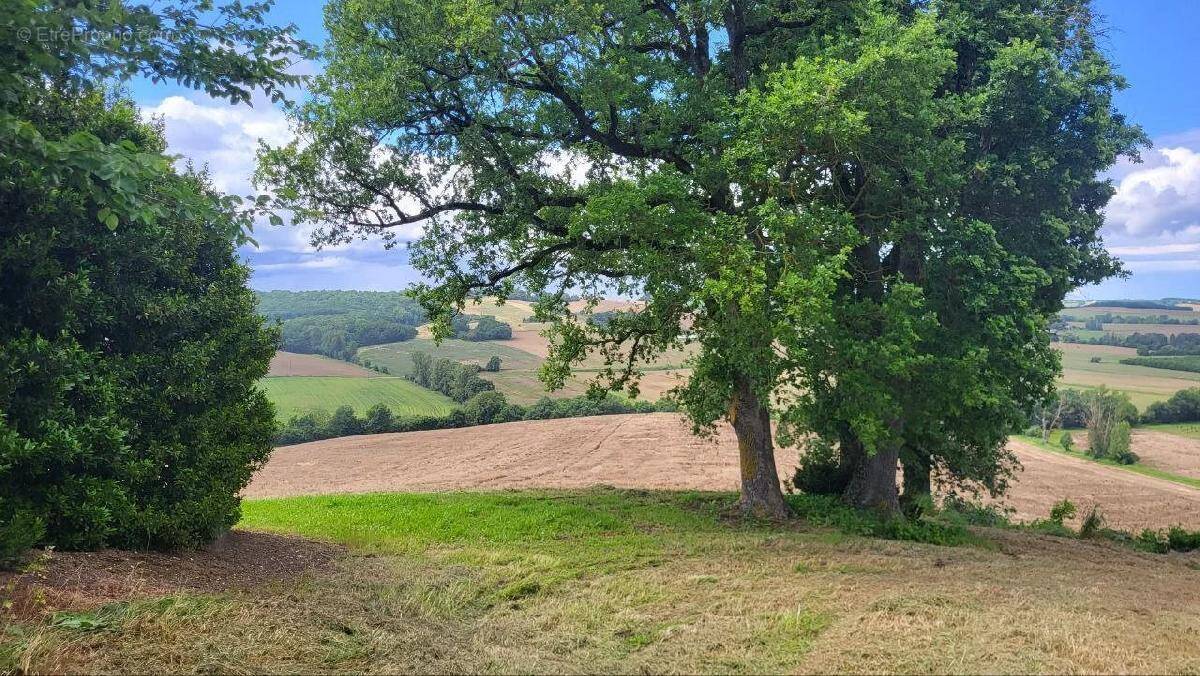 Terrain à BEAUMONT-DE-LOMAGNE