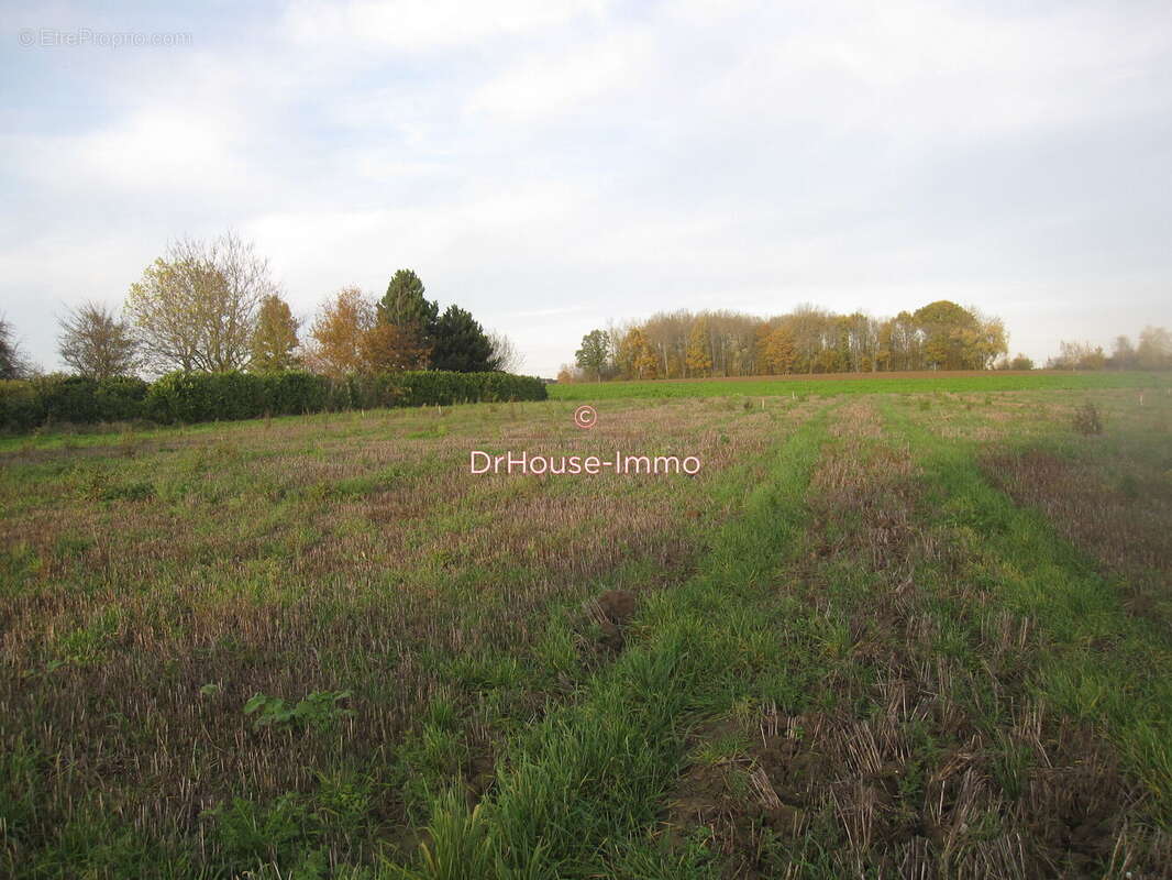 Terrain 1950 m² à Bersee  - photo 2