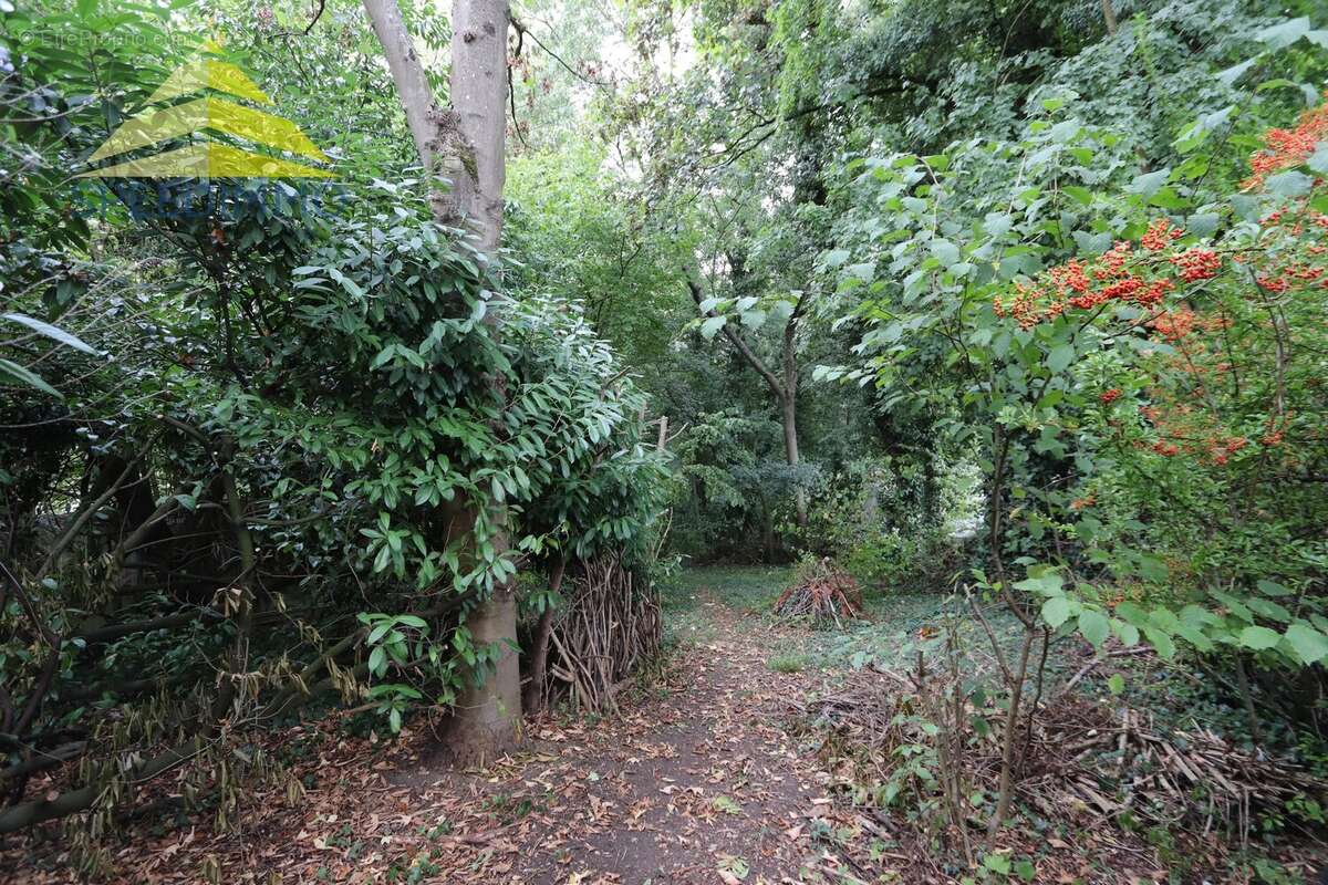 Terrain à QUINCY-SOUS-SENART