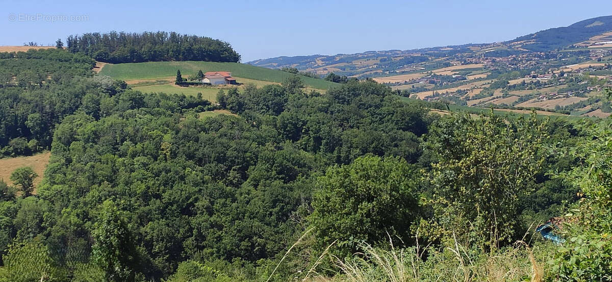 Terrain à SAINT-PIERRE-LA-PALUD