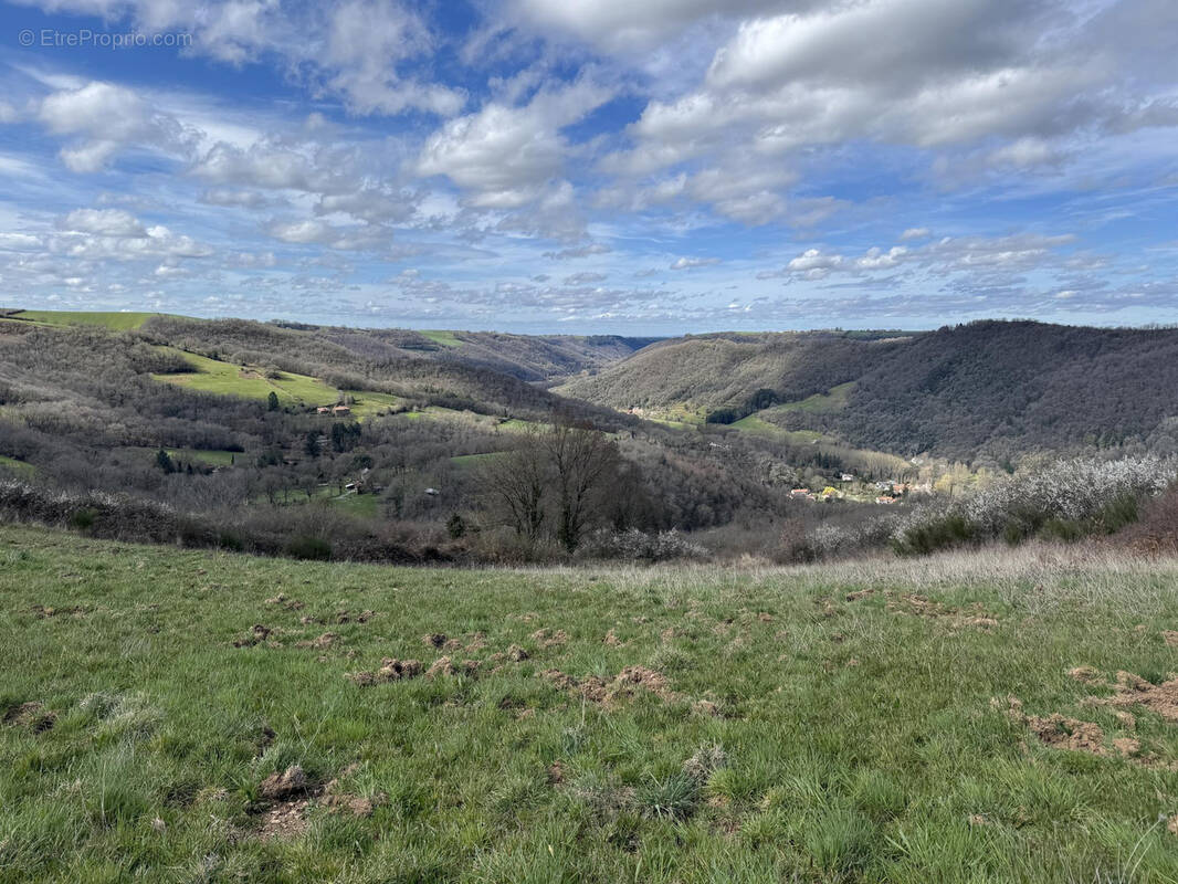 Terrain à AMBIALET