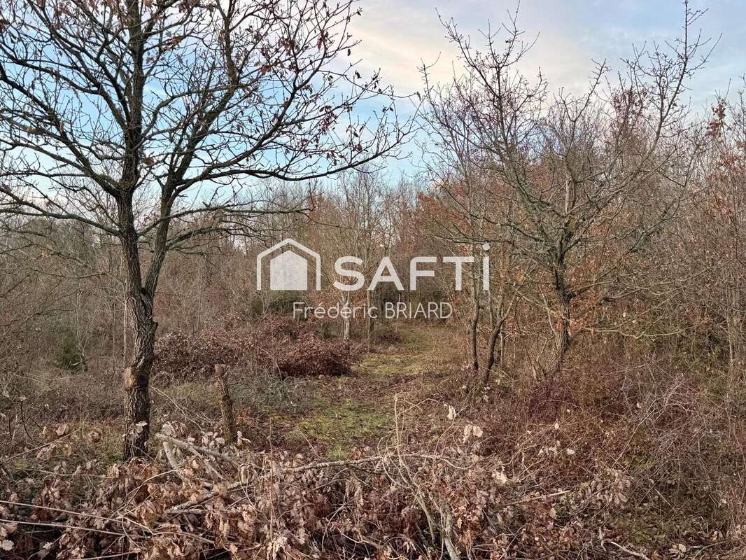 Terrain 2574 m² à L'ile-D'olonne  - photo 2