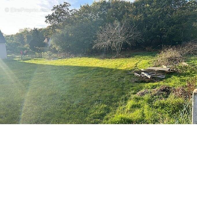 Terrain à MONDEVILLE