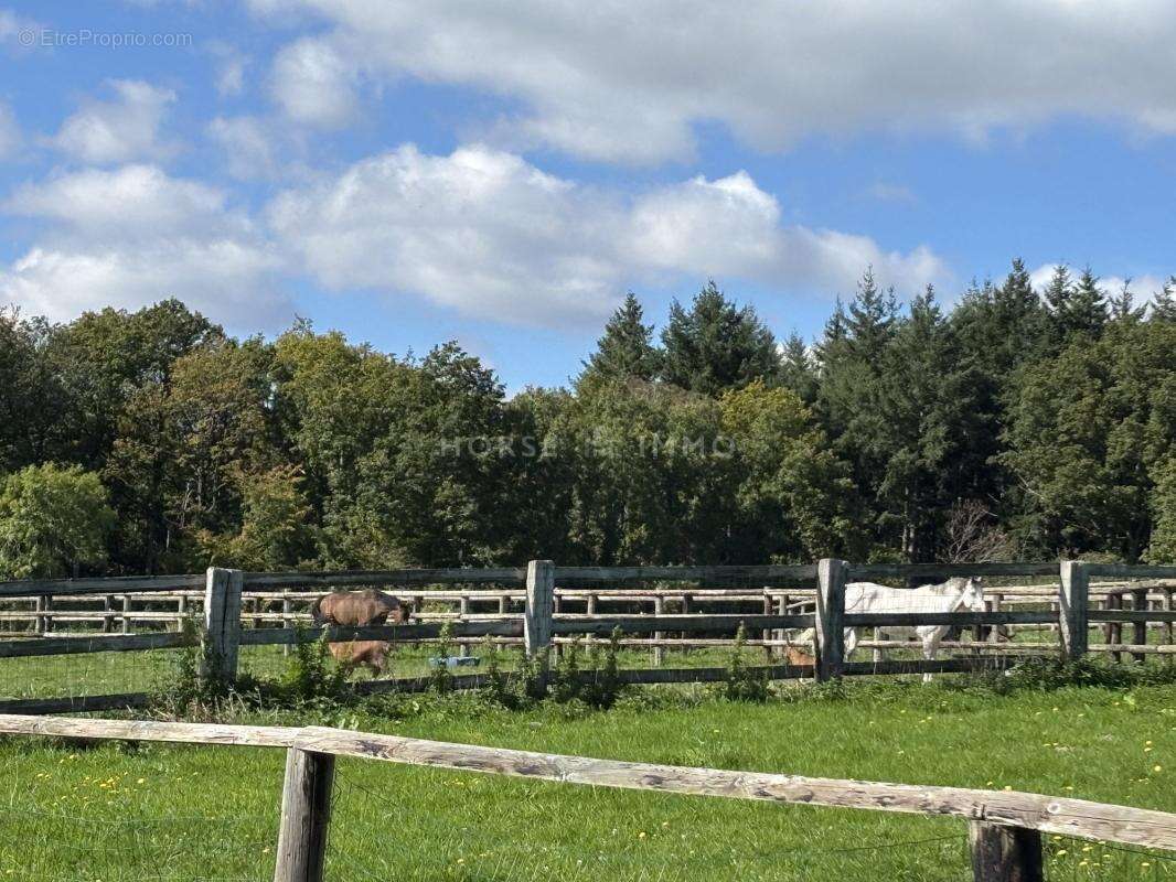Maison à SAINT-GERMAIN-DE-LA-COUDRE