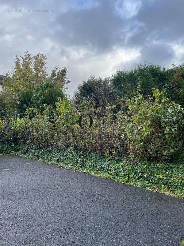 Terrain à MARGENCY