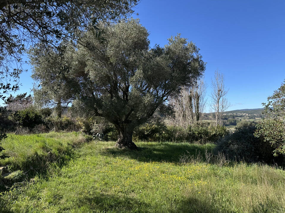 Terrain à PUGET-VILLE