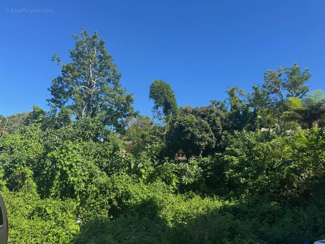 Terrain à LE TAMPON