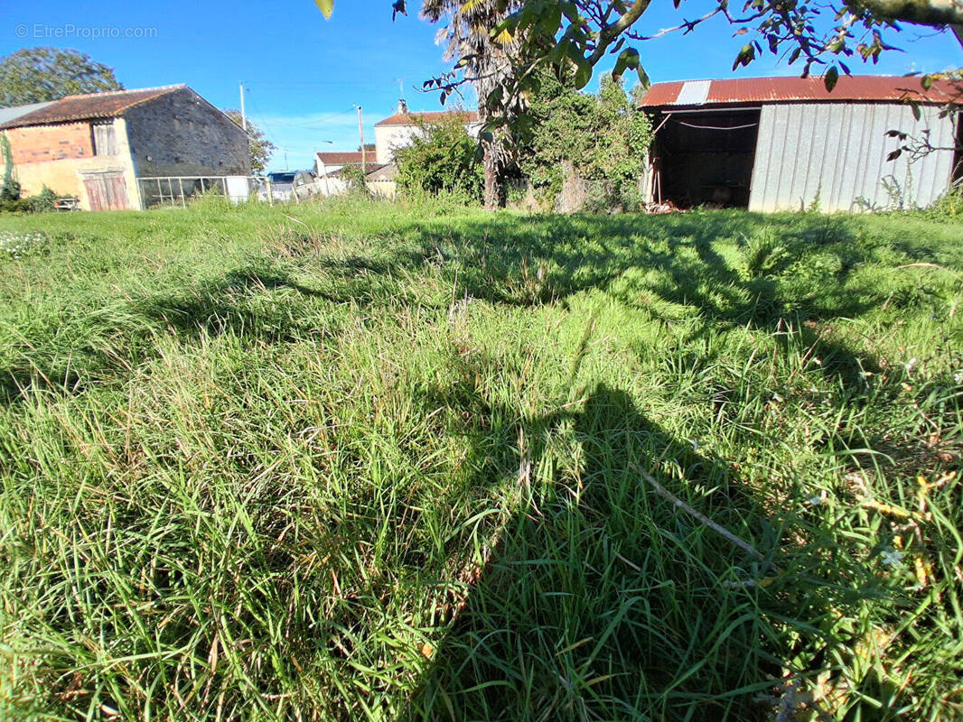 Terrain à LA GRIPPERIE-SAINT-SYMPHORIEN