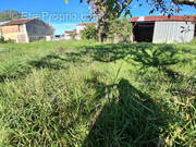 Terrain à LA GRIPPERIE-SAINT-SYMPHORIEN