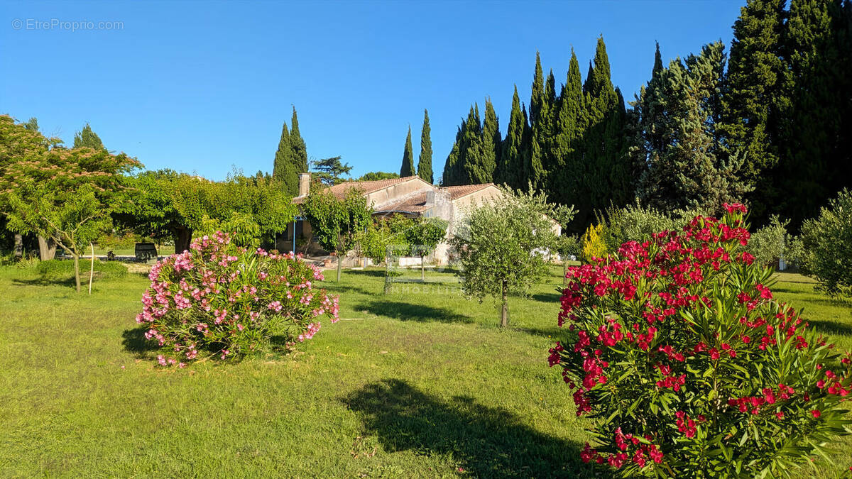 Maison à MAILLANE