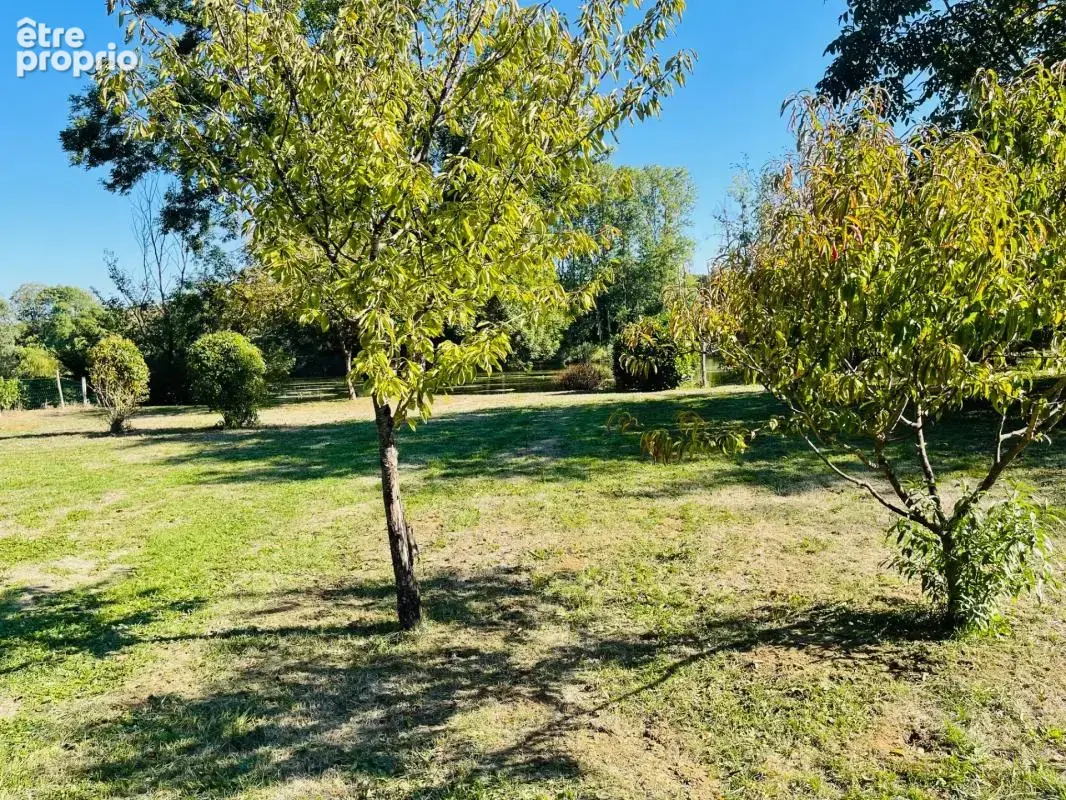 Terrain à vendre * Au bord de la Vienne * Un Véritable Havre de Paix * Terrain Arboré de 1 269 m²  CHAUVIGNY (86) - photo 3