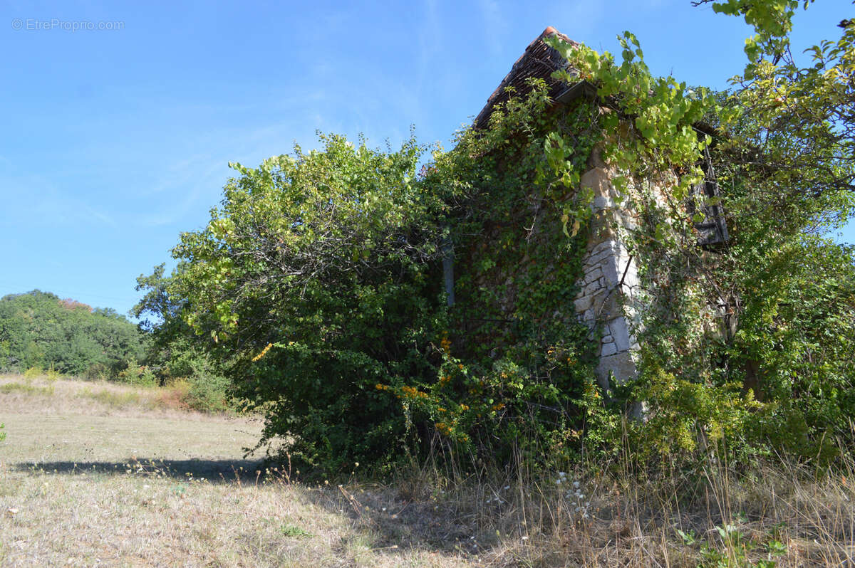 Terrain à SAINT-JEAN-LESPINASSE