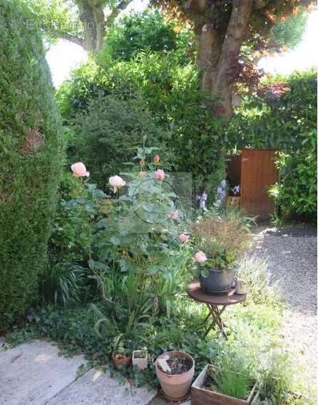 Appartement 142 m² à Ville-D'avray  - photo 6