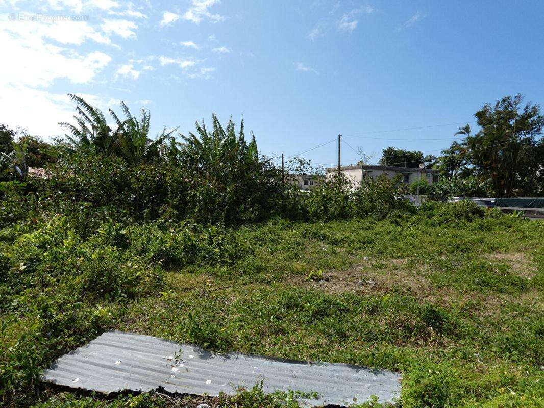 97470 Saint Benoit terrain constructible 511 m2 en zone Ua13 - photo 3