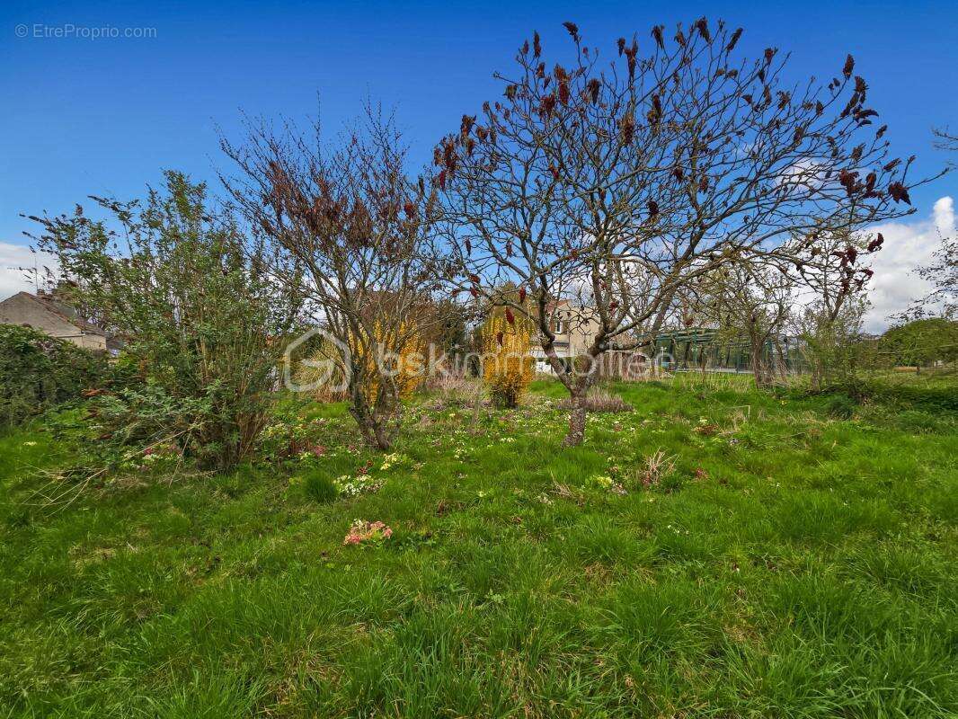 Maison 2 chambres - Vinantes - photo 17