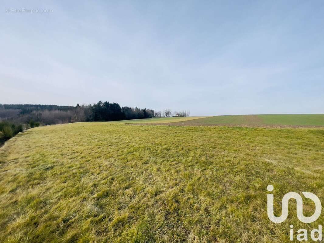 Photo 3 - Terrain à ABRESCHVILLER