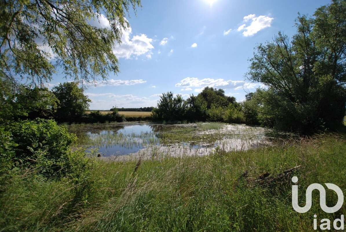 Photo 4 - Maison à OUZOUER-SUR-TREZEE
