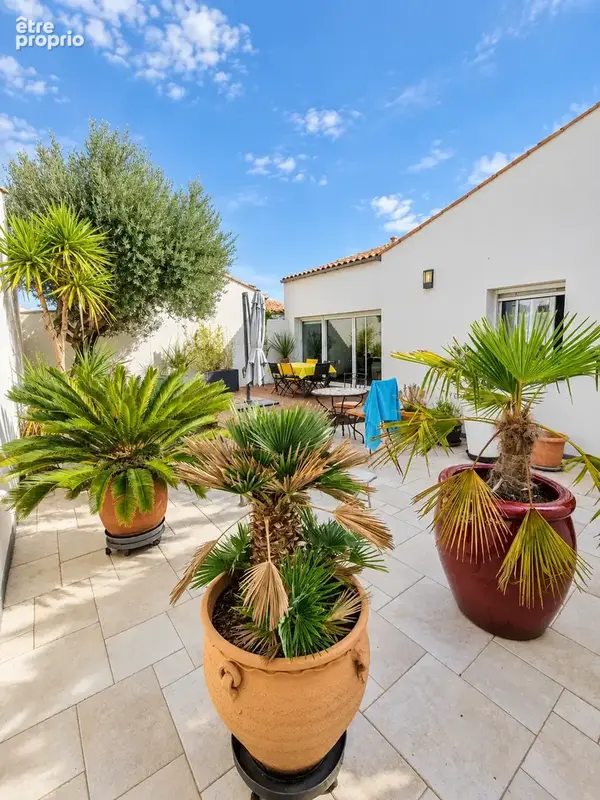Mornac-sur-Seudre - Maison familiale avec intérieur coup de cœur - Suite parentale, jardin-patio sans vis-à-vis - photo 6