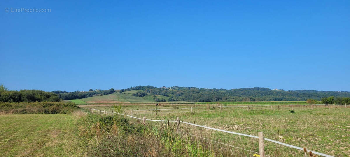 Terrain 1408 m² à Maslacq  - photo 2
