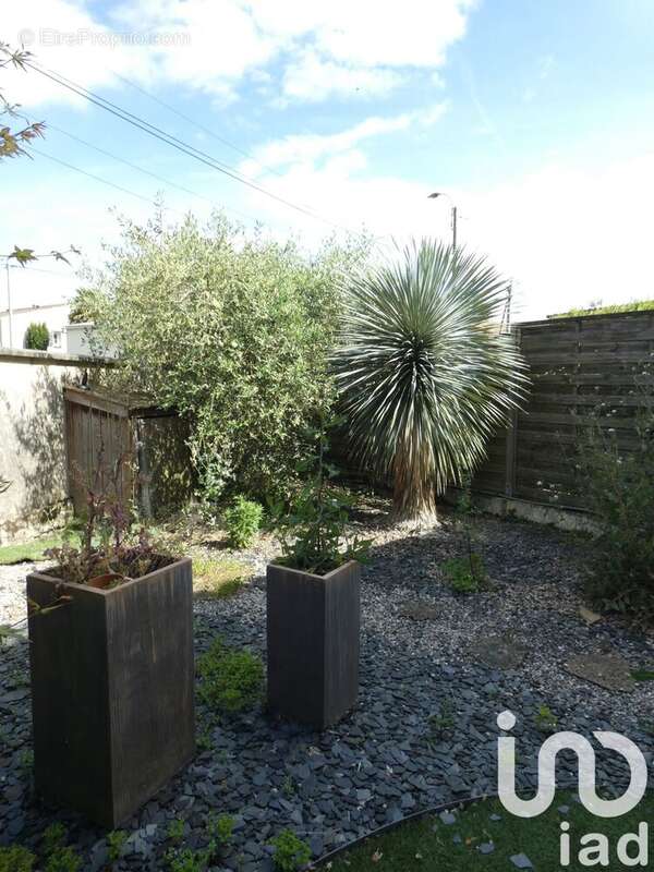 Photo 9 - Maison à NIORT