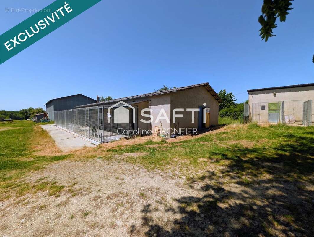 Maison 380 m² à Gilly-Sur-Loire  - photo 3