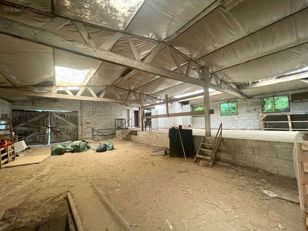 Commerce à BUCHERES