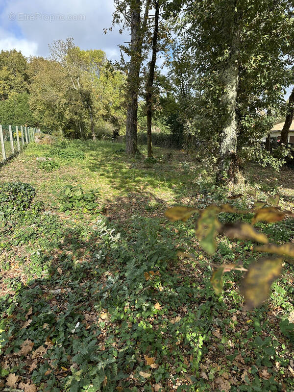 Terrain à MONTGUYON