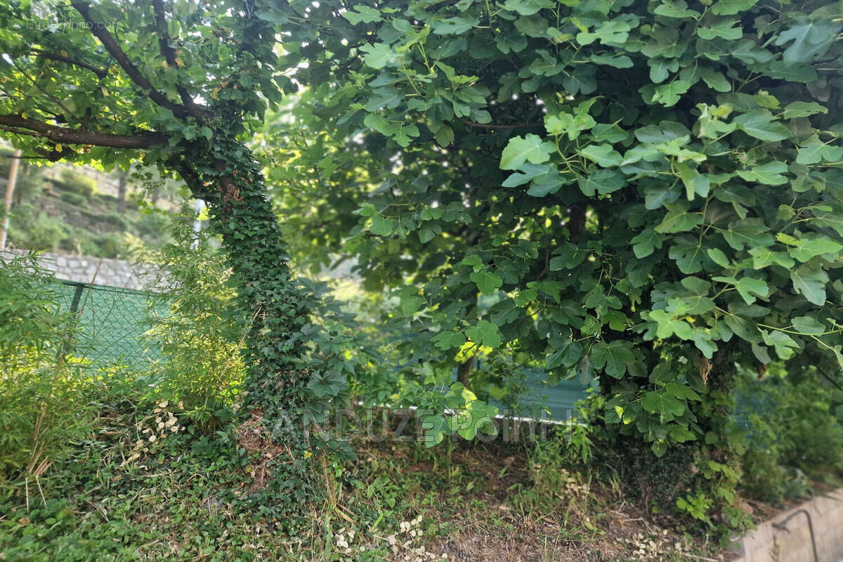 Maison à SAINT-JEAN-DU-GARD