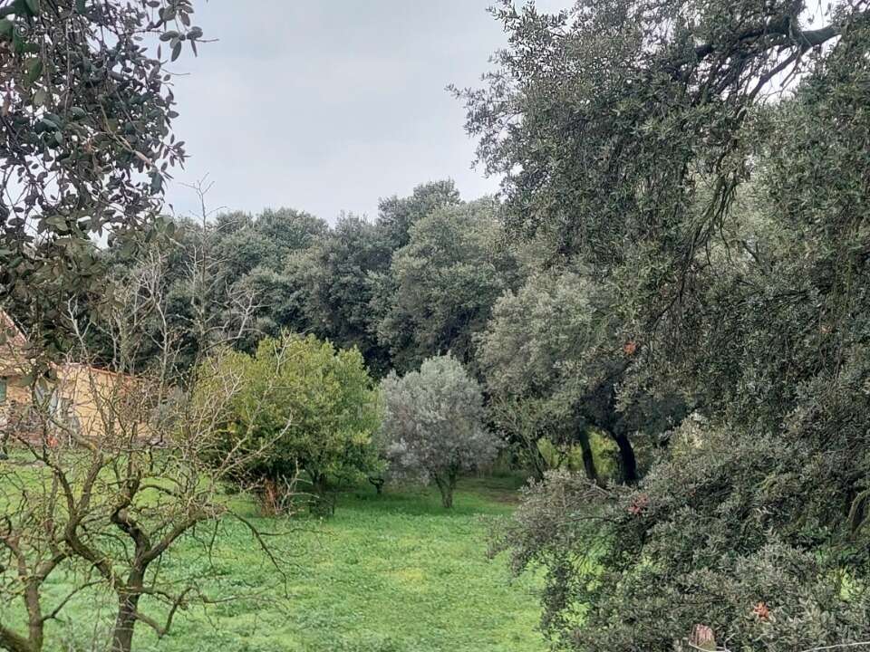 Terrain à PLAN-D&#039;ORGON