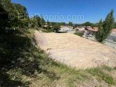Beau Terrain hauteur  de Limoux - photo 18