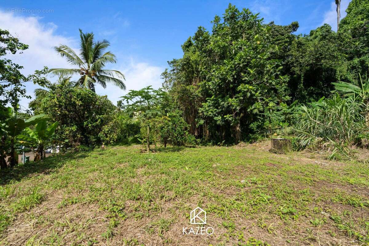 Terrain à LE LAMENTIN