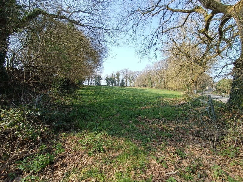 Terrain à PLOUNEVEZ-QUINTIN