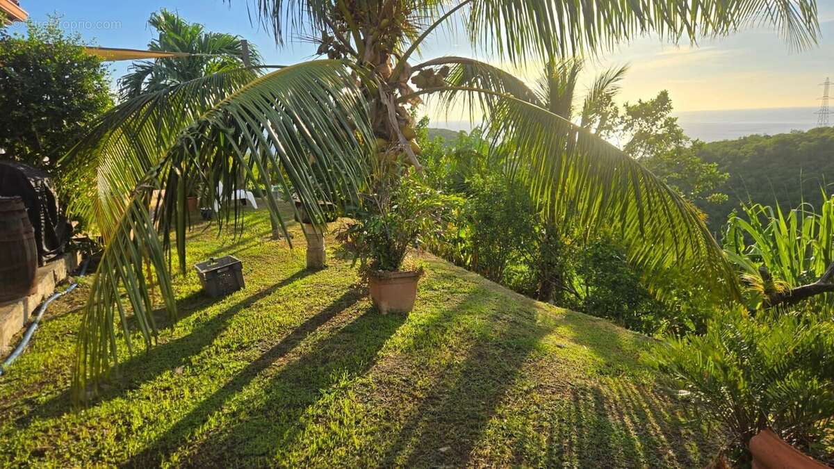 Maison à CASE-PILOTE