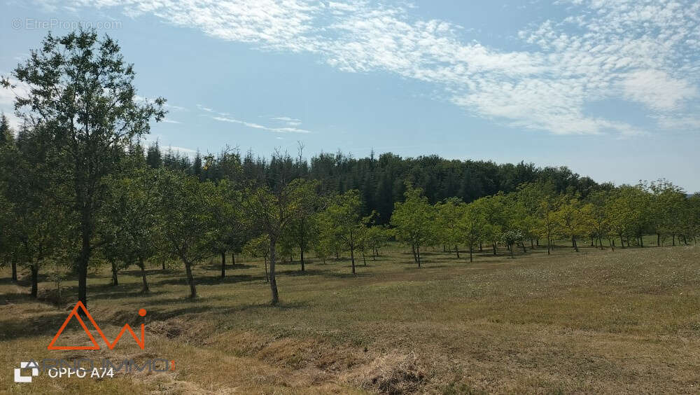 Maison à CAHUZAC-SUR-VERE