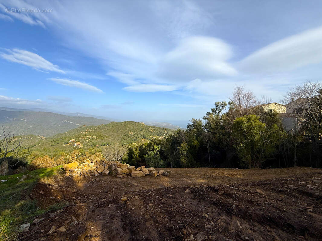 Terrain à SARI-SOLENZARA