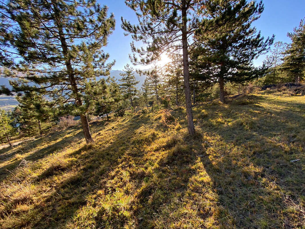 Photo 8 - Terrain à EMBRUN