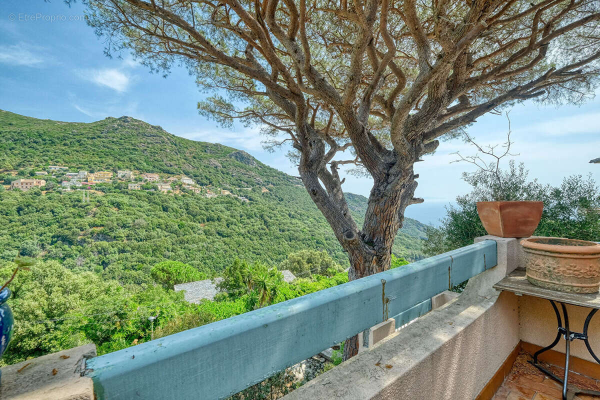 Maison 194m² à ville-di-pietrabugno - photo 6