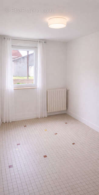 Maison à LA CHAPELLE-SAINT-MESMIN