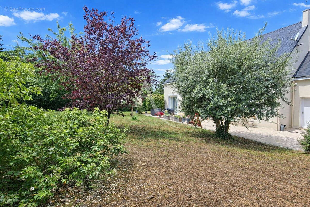 Maison à BRIOLLAY