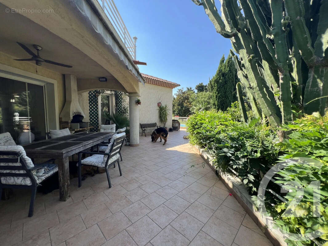 Maison 212 m² à Lucciana  - photo 12
