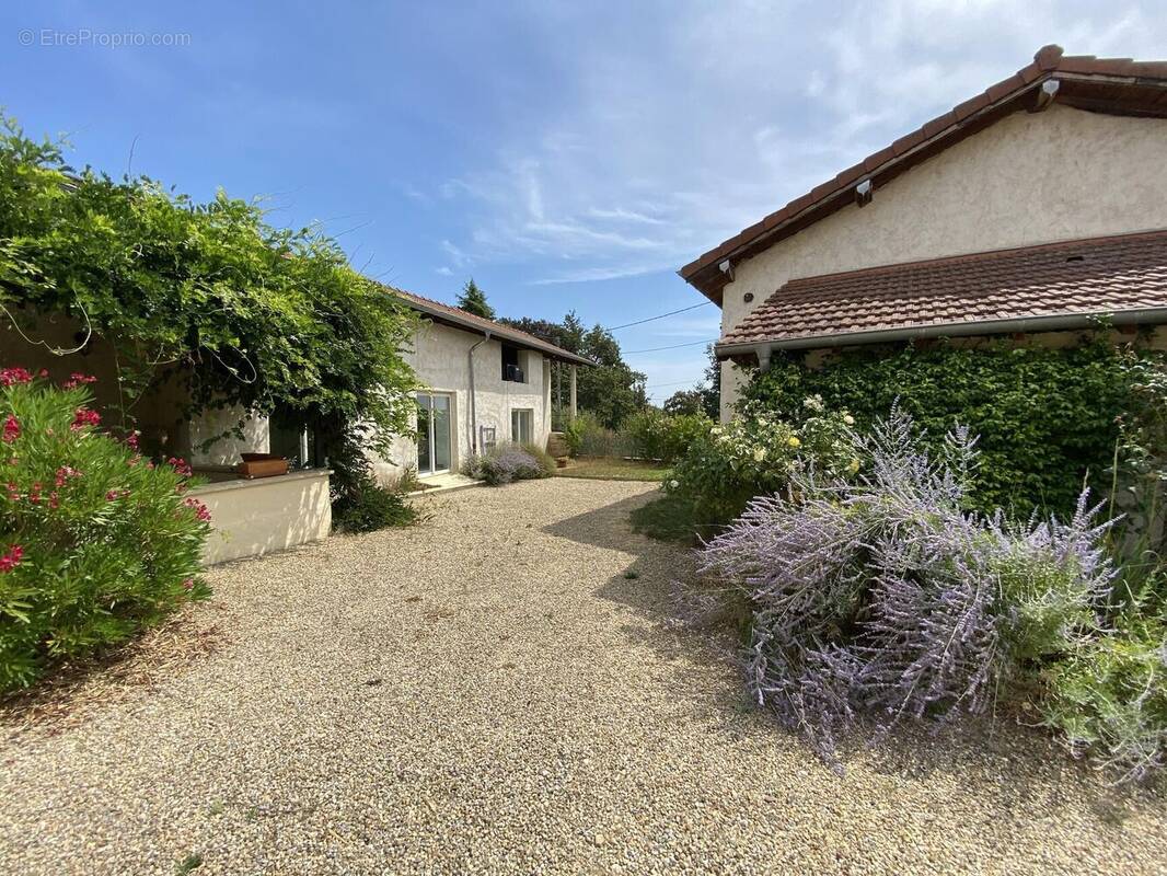 Photo 1 - Maison à BANEINS