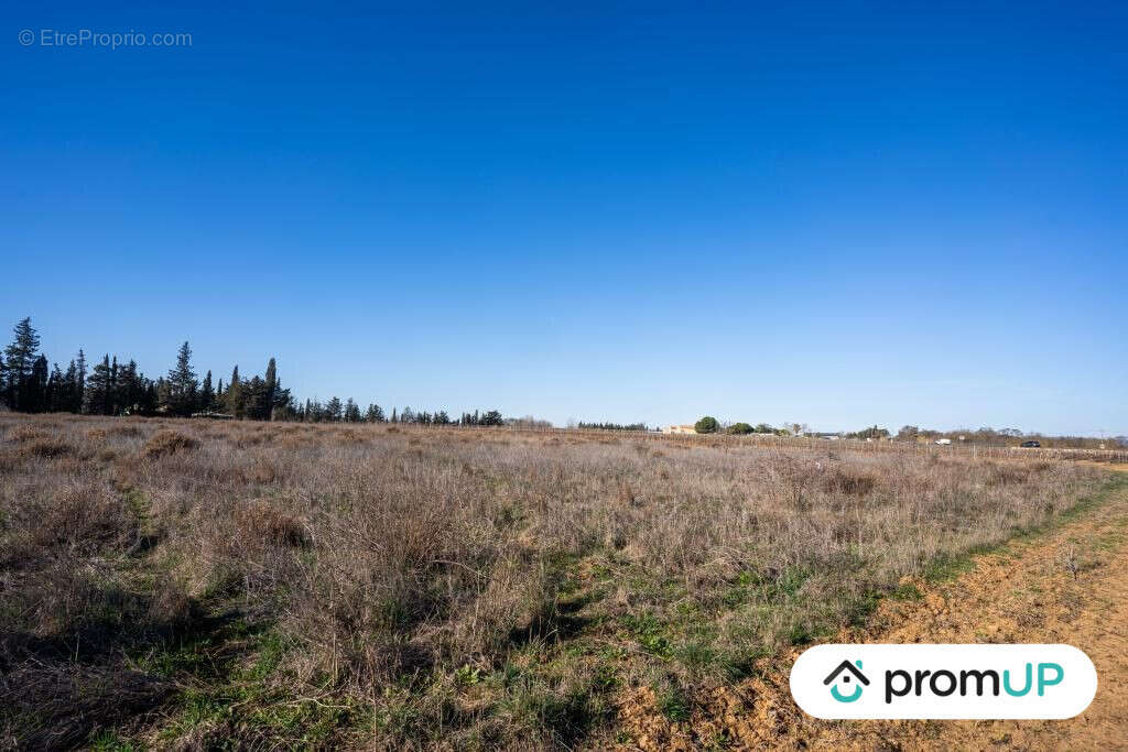 Terrain à PORTIRAGNES