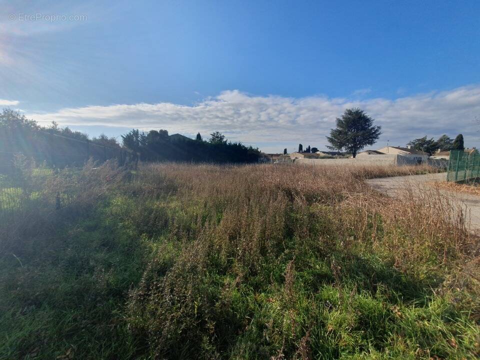 Terrain à MANDUEL