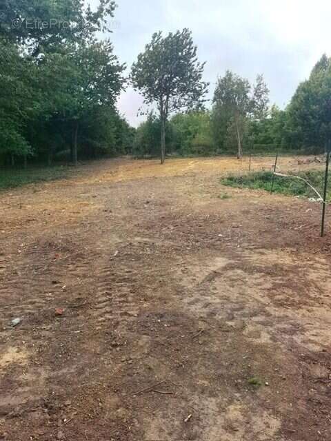 Terrain à WARGNIES-LE-GRAND