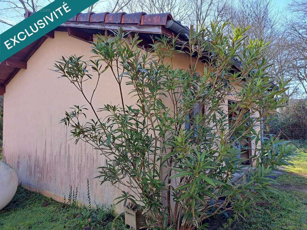 Photo 3 - Maison à ROQUEFORT