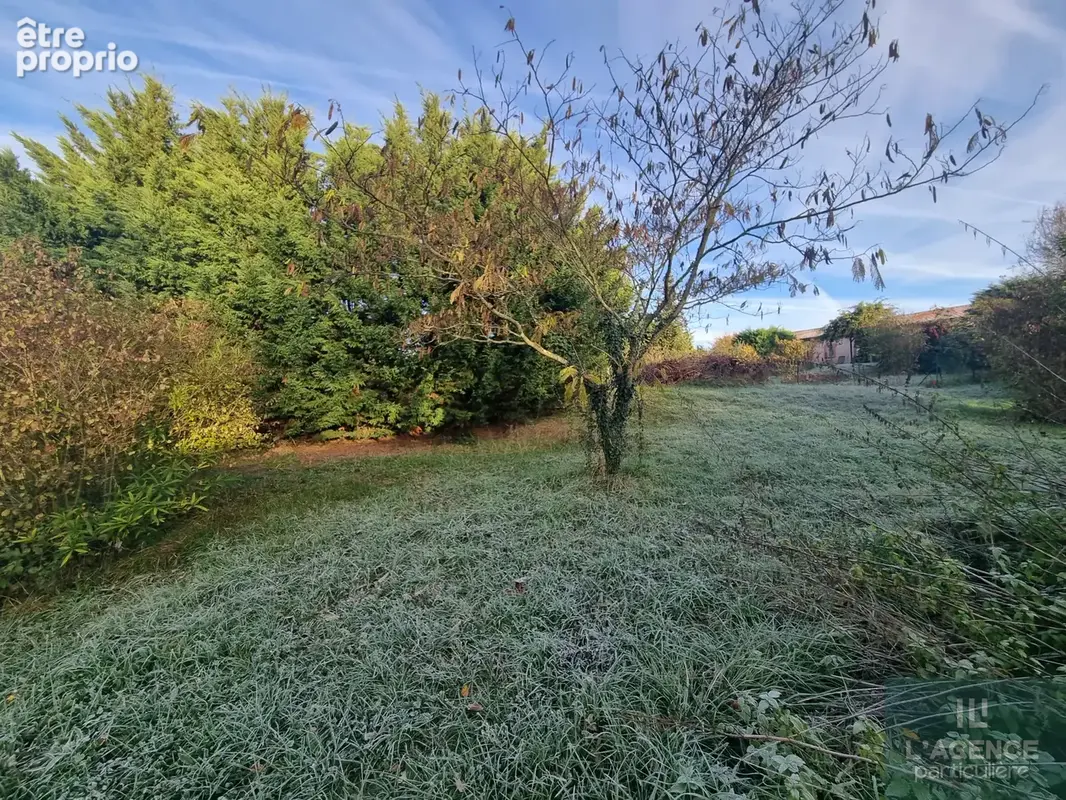 Terrain espanes - photo 7
