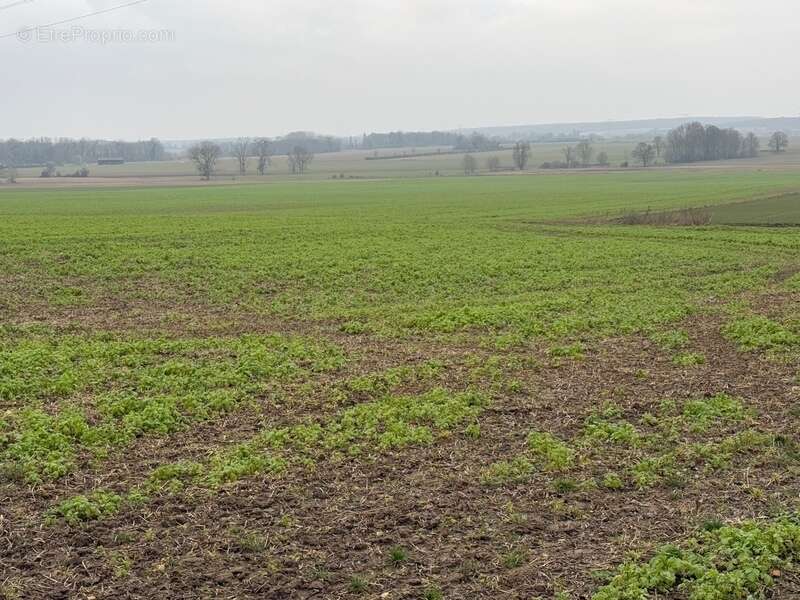 Terrain à GRISY-LES-PLATRES
