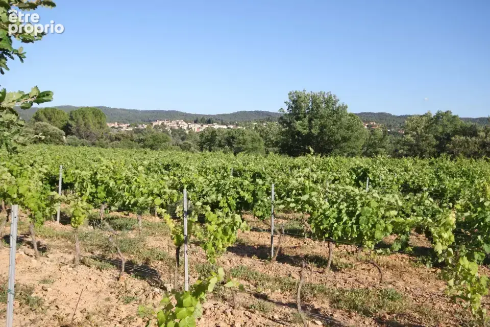 Terrain 1 514 m² à vendre à Carces (83570) - photo 3