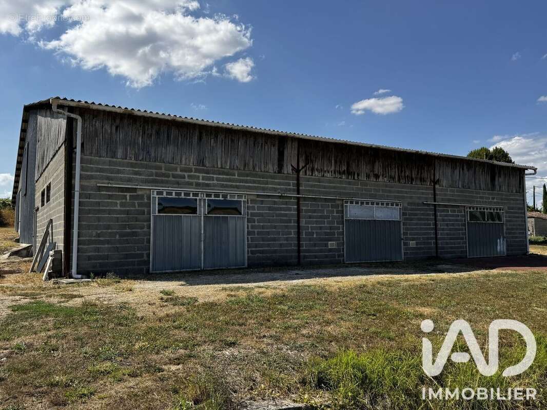 Parking 1236 m² à Sousmoulins  - photo 4